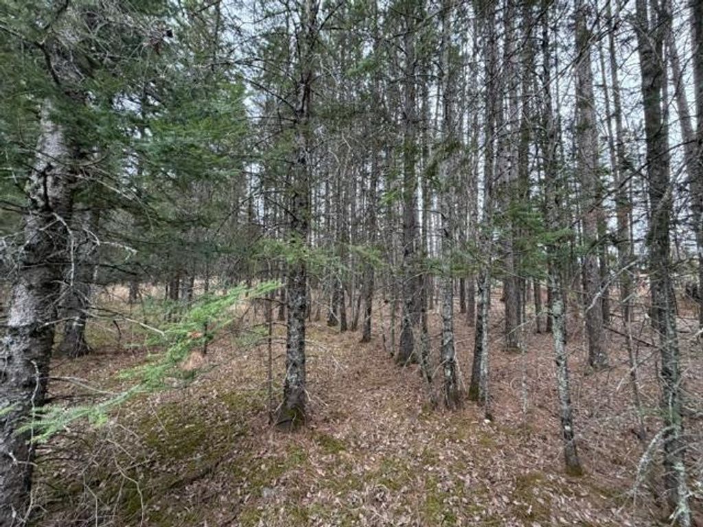 Photo of TBD 5th TBD 5th Street SE, Cook, MN 55723 (MLS # 7077173)