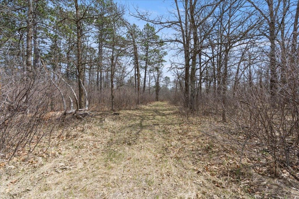 Photo of TBD 32nd Avenue SW, Backus, MN 56435 (MLS # 7063609)