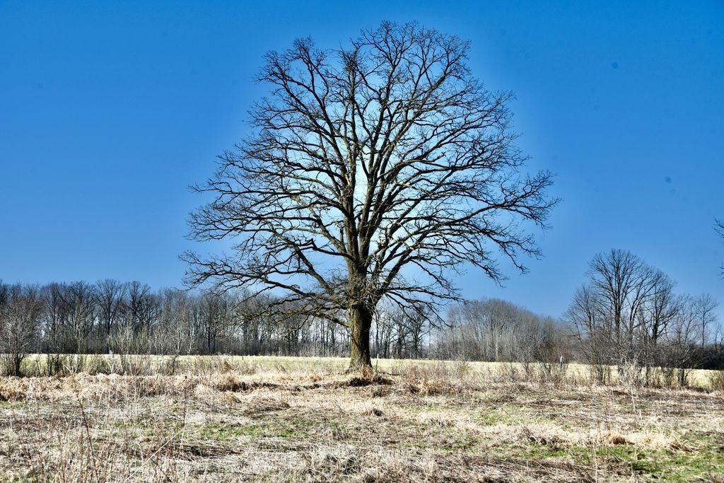 Photo of 19XXX 150th Avenue, Milaca, MN 56353 (MLS # 7047704)