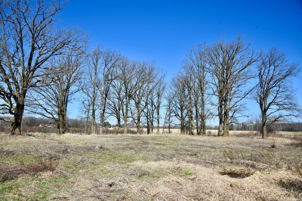 Photo of 19XXX 150th Avenue, Milaca, MN 56353 (MLS # 7047704)