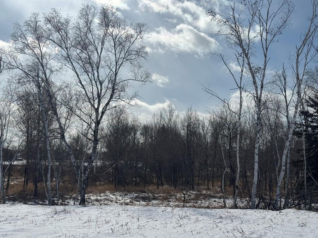 Photo of 2458 179th Avenue NE, Ham Lake, MN 55304 (MLS # 6825487)