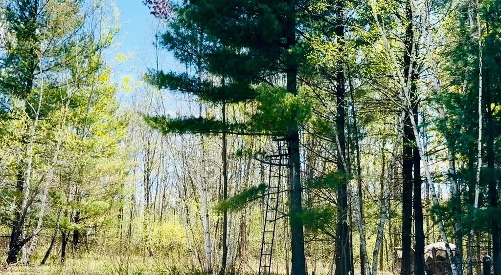Photo of TBD Ivy Rd., Bock, MN 56353 (MLS # 7071262)