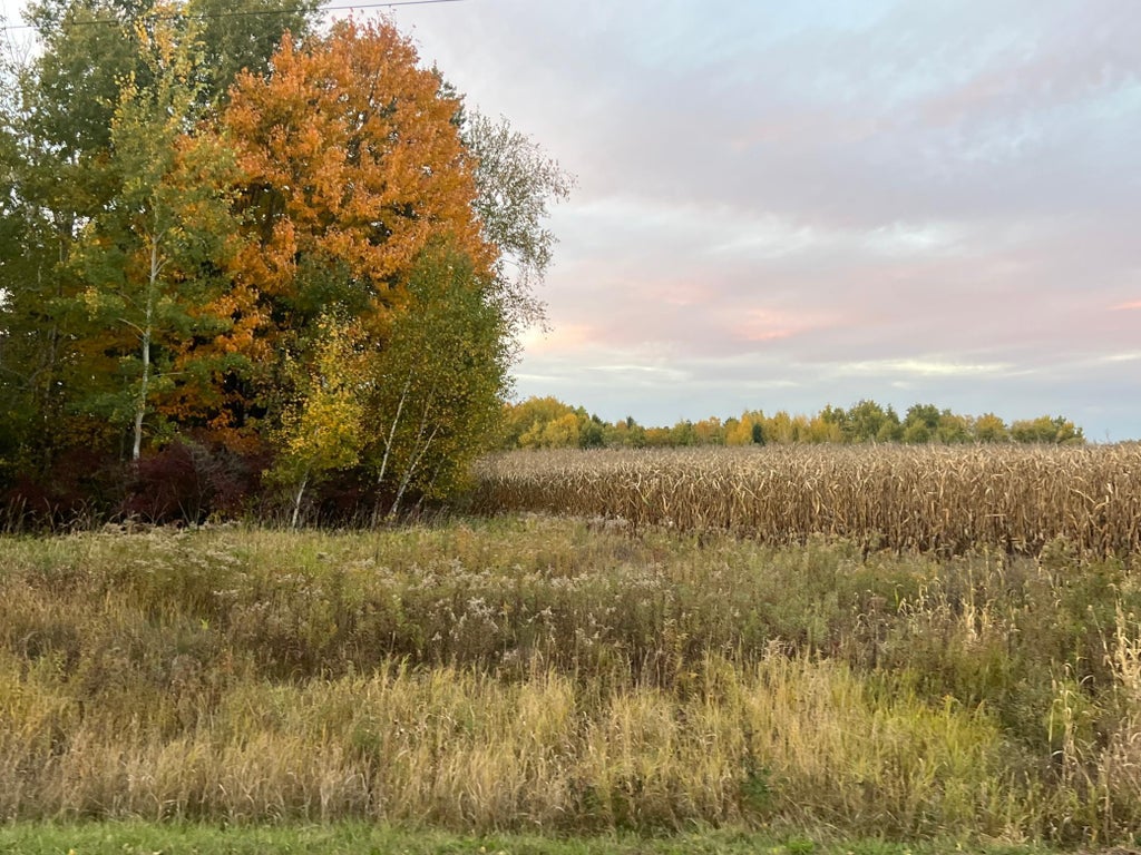 Photo of 000 Holly Rd, Pine City, MN 55063 (MLS # 7156235)