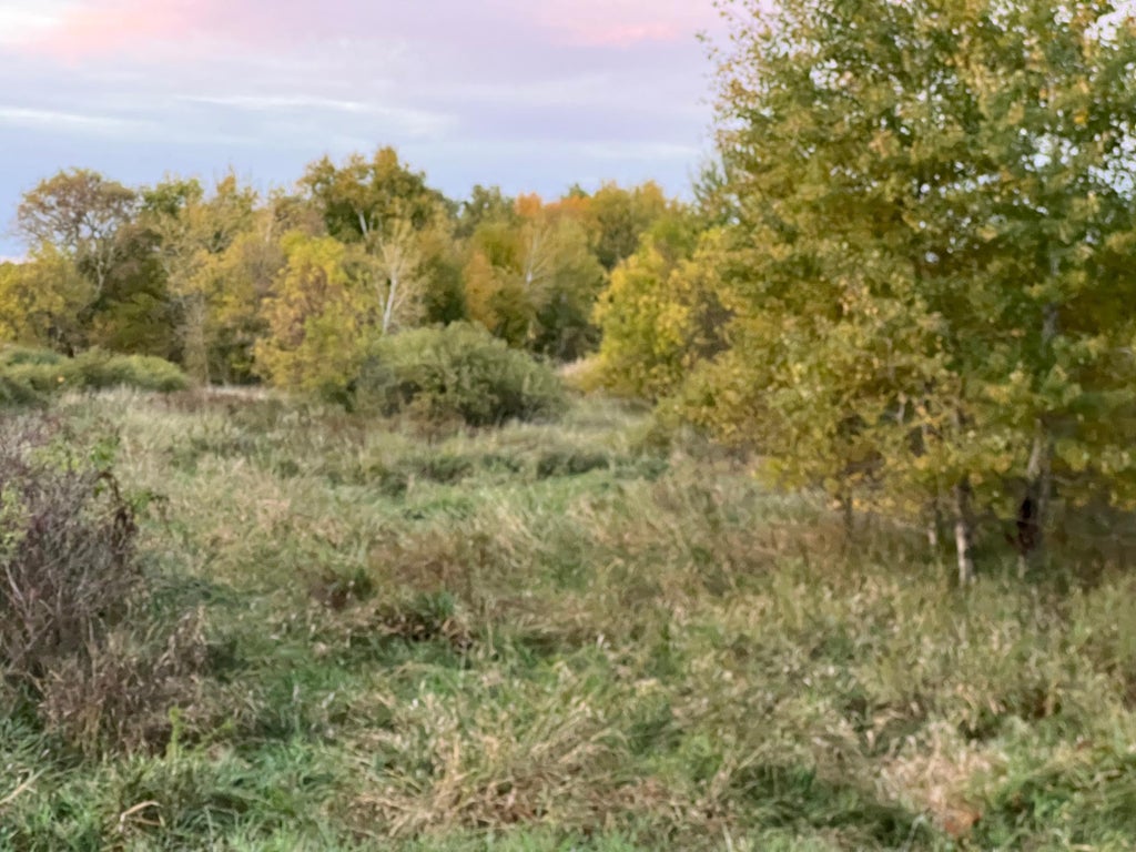 Photo of 000 Holly Rd, Pine City, MN 55063 (MLS # 7156235)