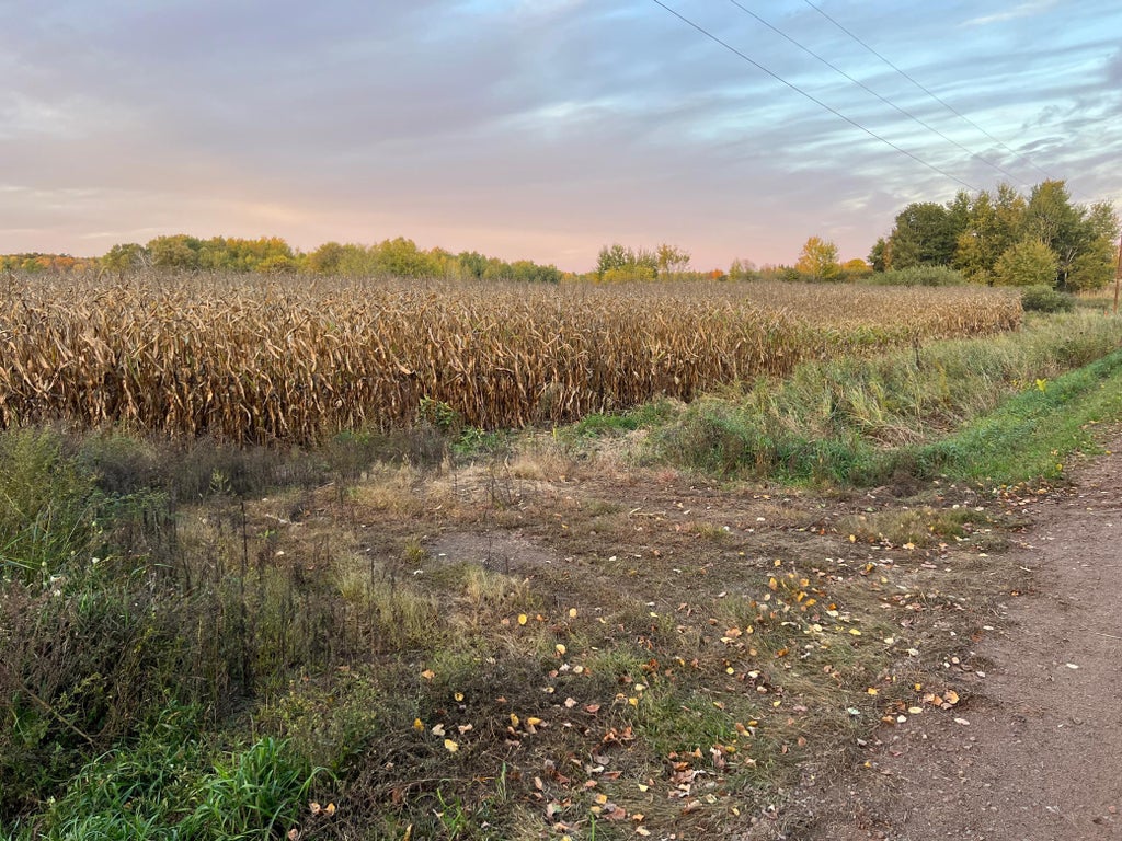 Photo of 000 Holly Rd, Pine City, MN 55063 (MLS # 7156235)