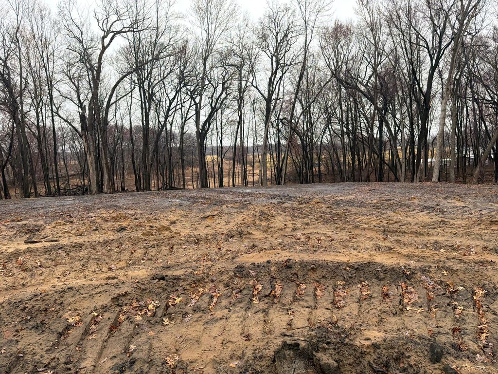 Photo of 2987 154th Lane NE, Ham Lake, MN 55304 (MLS # 7048620)