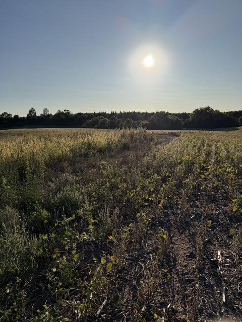 Photo of 406XX Placid Drive, Dent, MN 56528 (MLS # 7147304)