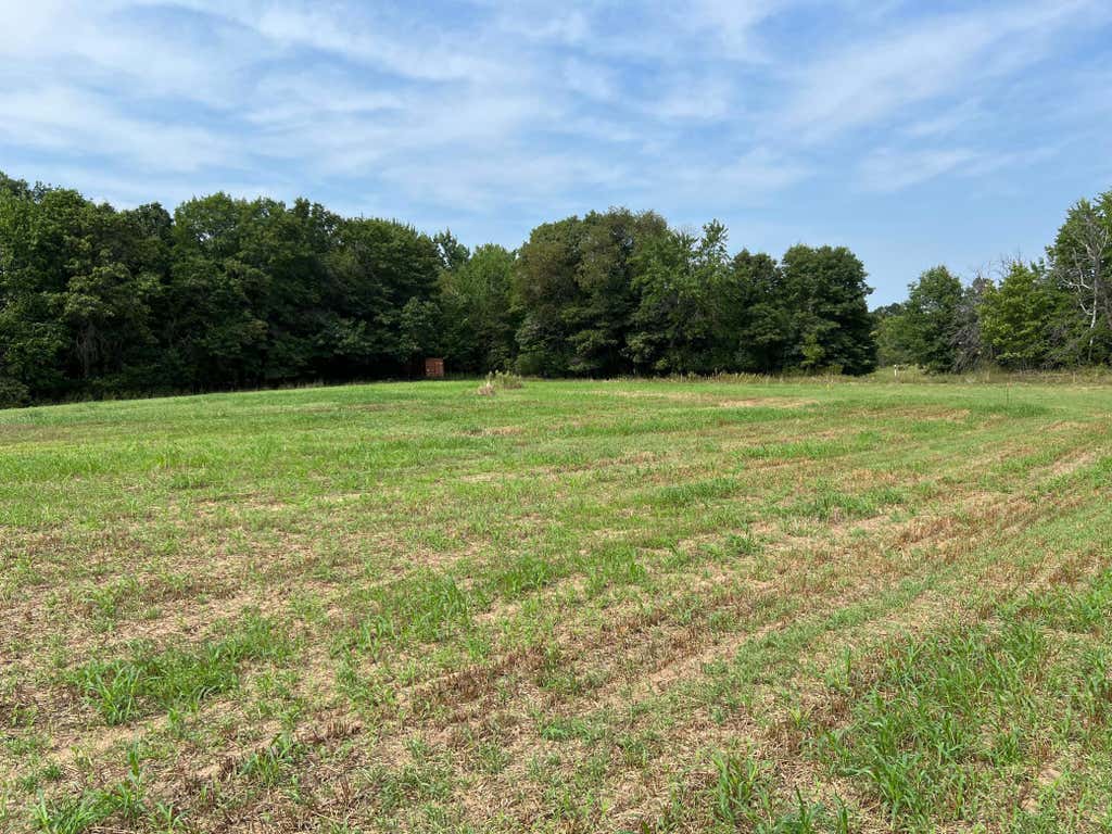 Photo of TBD Elmcrest Avenue, Stacy, MN 55079 (MLS # 7127388)