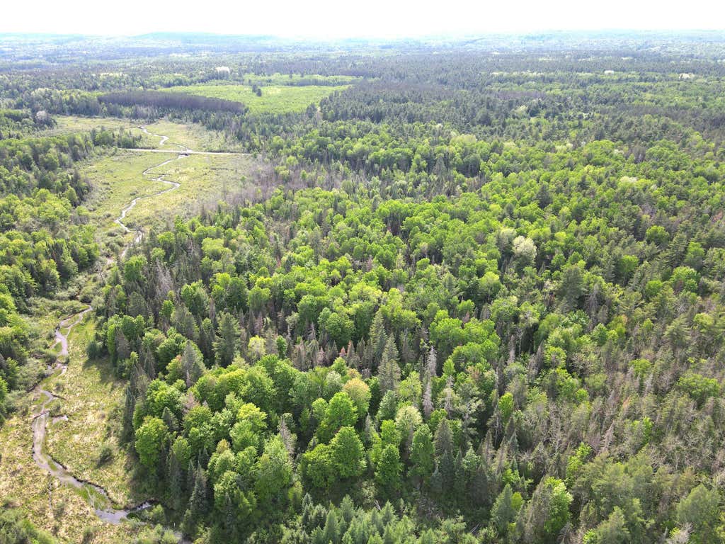Photo of Lot 1 Smith Road N, Couderay, WI 54828 (MLS # 7131009)