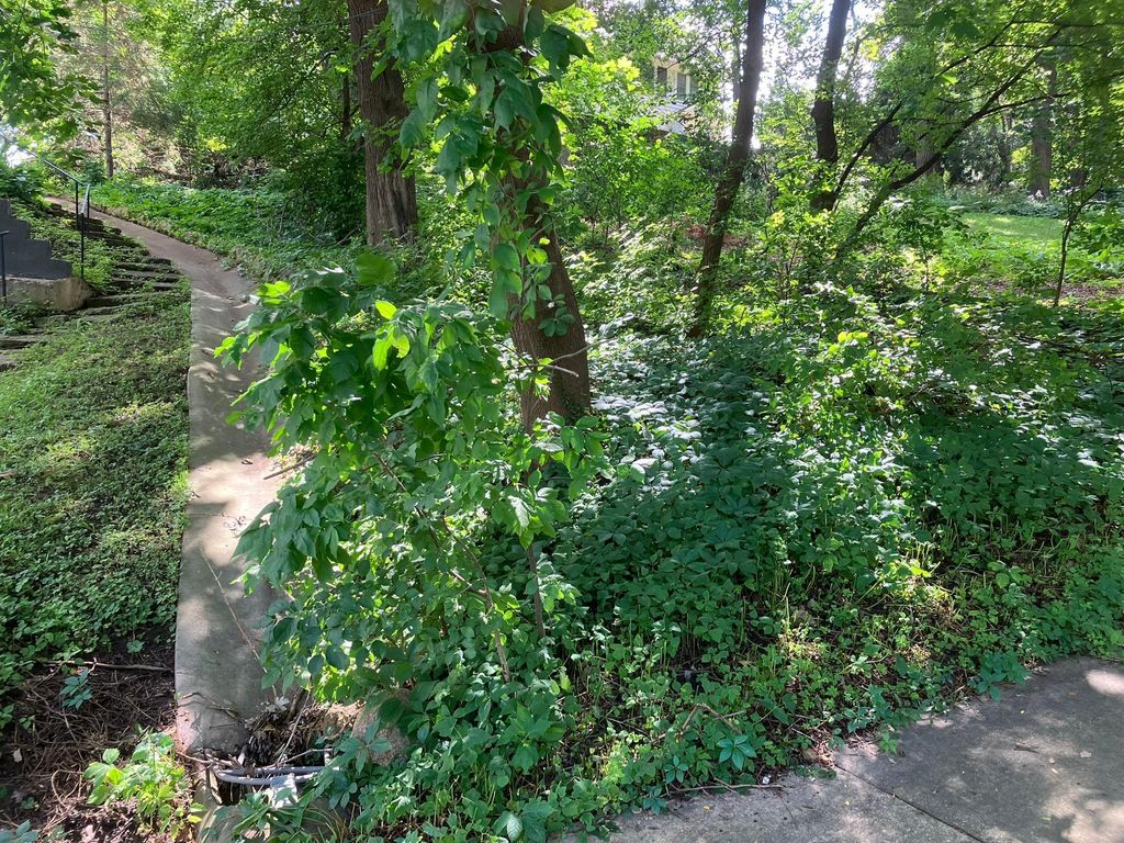 Photo of 825 3rd Street SW, Rochester, MN 55902 (MLS # 7032956)