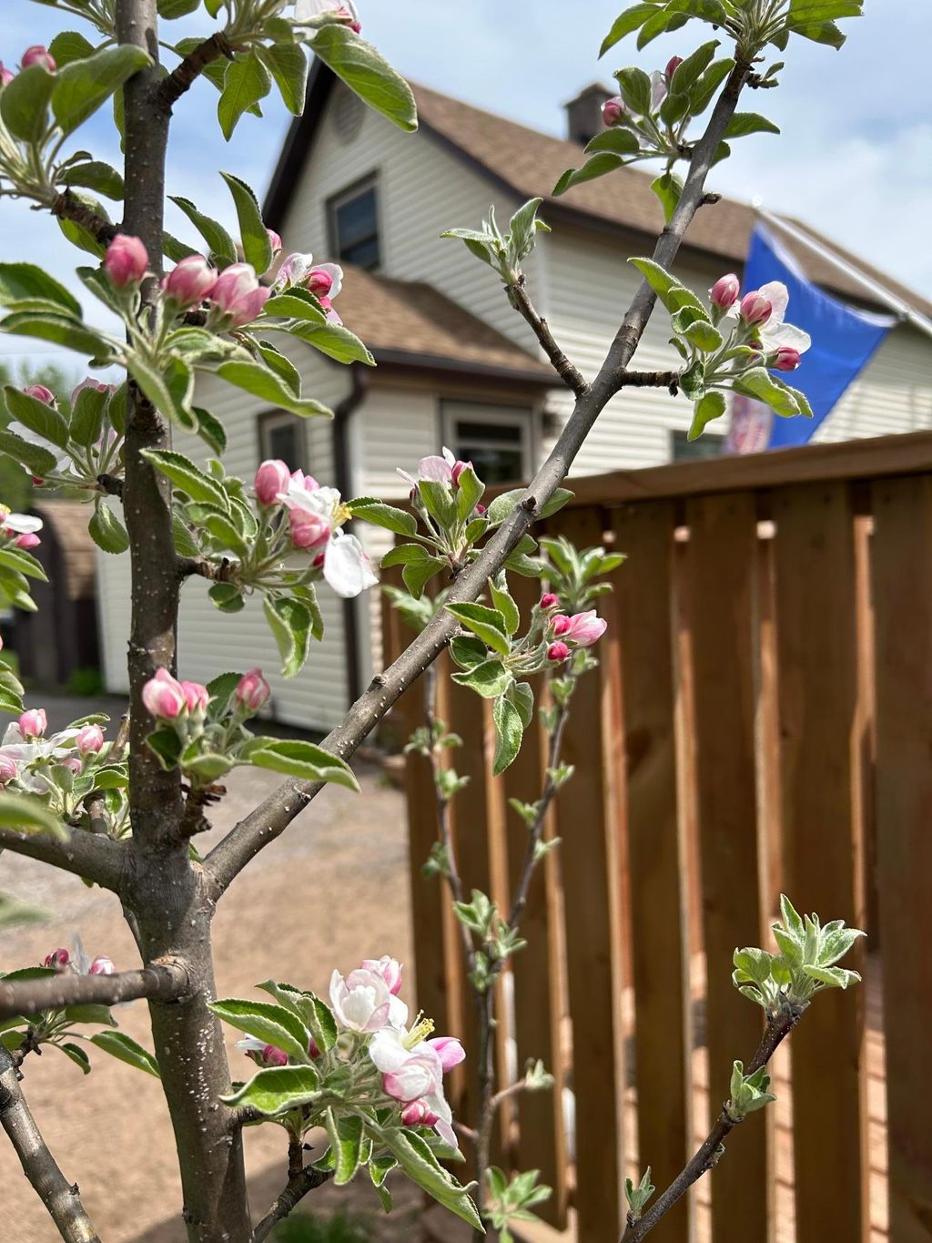 Photo of 427 N 63rd Avenue W, Duluth, MN 55807 (MLS # 7083747)
