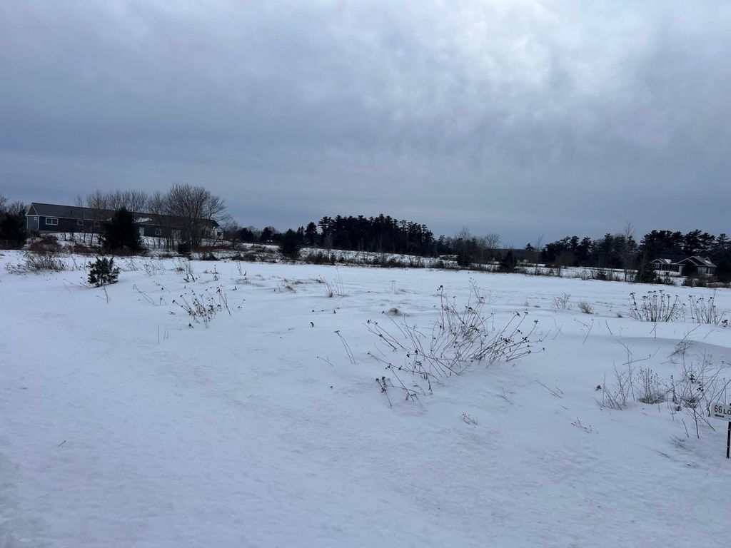 Photo of Lot 66 21 1/4 Street, Rice Lake, WI 54868 (MLS # 7002359)