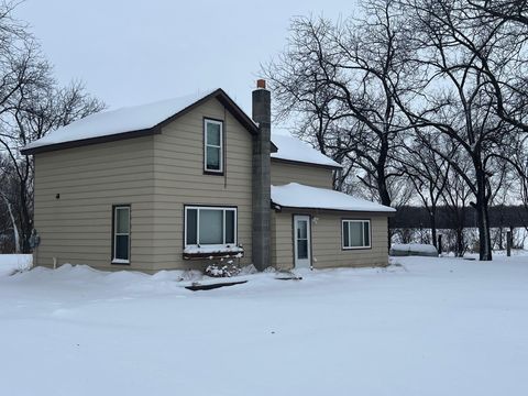 Photo of 29684 650th Avenue, Litchfield, MN 55355 (MLS # 6826284)