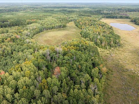 Lot K Sandbar Lane Merrifield MN 56465