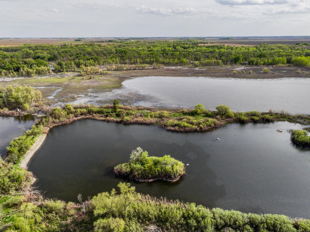 Photo of TBD County Road 15, Montevideo, MN 56265 (MLS # 7086575)
