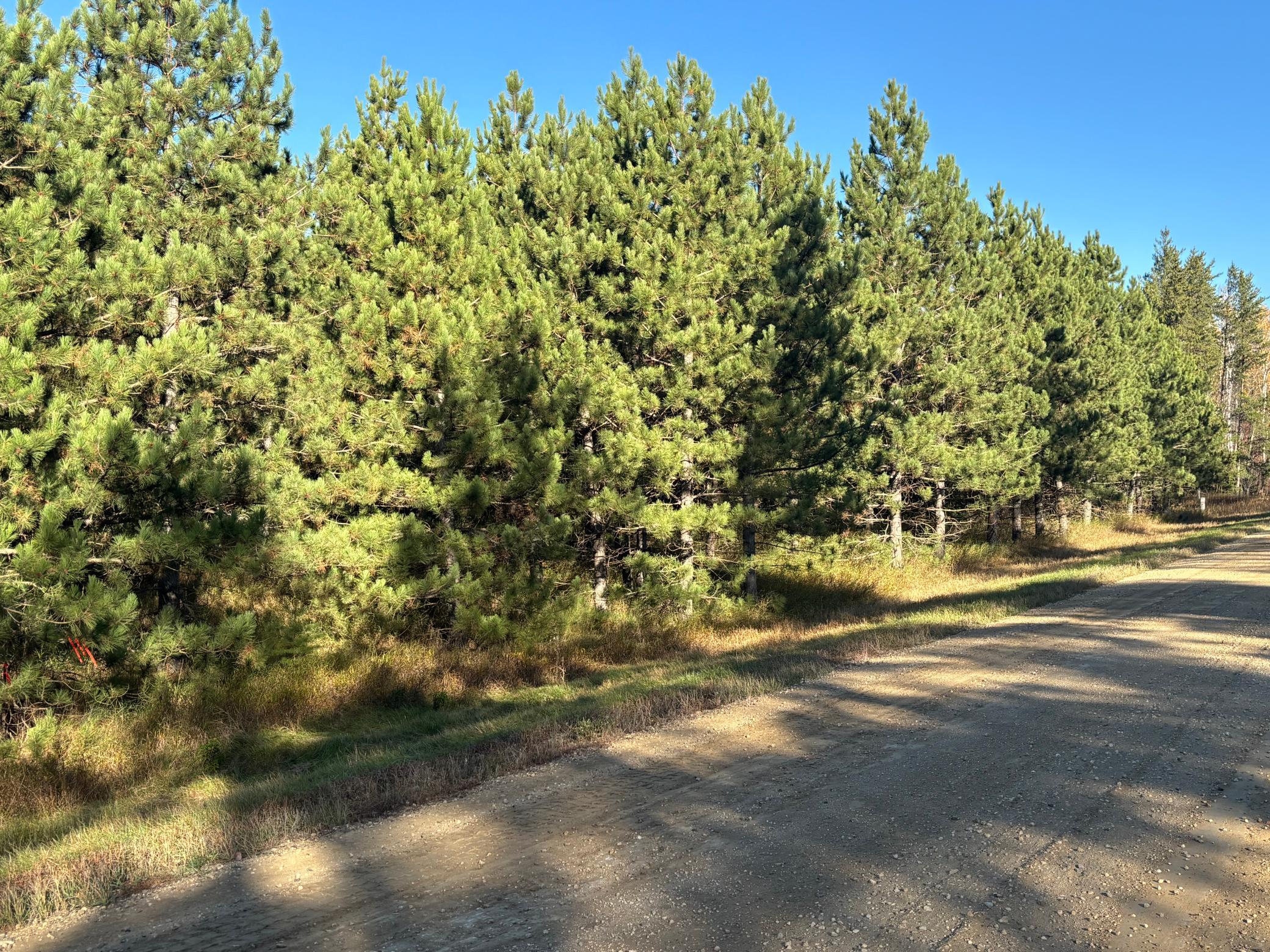 Lot 4 Co Road 125