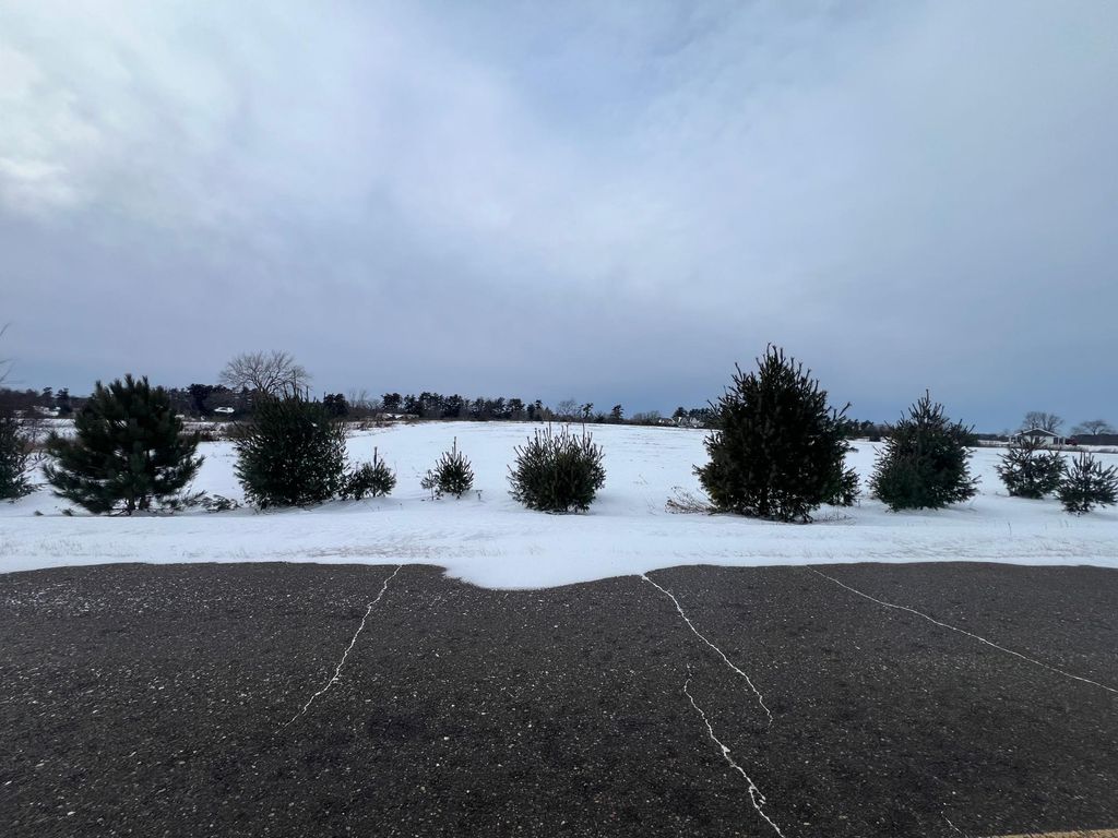 Photo of Lot 62 21 1/4 Street, Rice Lake, WI 54868 (MLS # 7002346)