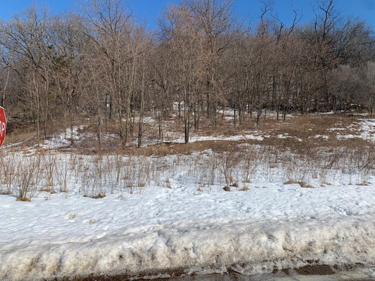 8670 LOCUST LN, WINONA, MN 55987 - Image fbf36a4bd48dee6abc167ed59c8b6f35/3948921021