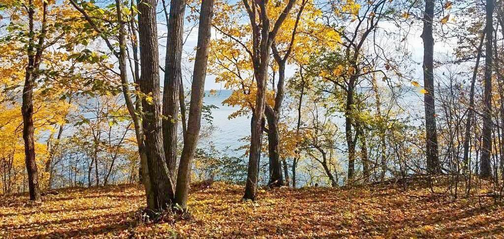 Photo of TBD Lot 19 Ni Gig Trail, Cass Lake, MN 56633 (MLS # 7016609)