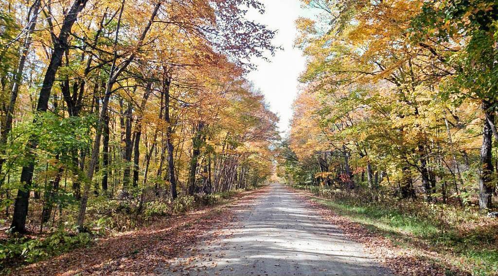 TBD Lot 19 Ni Gig Trail