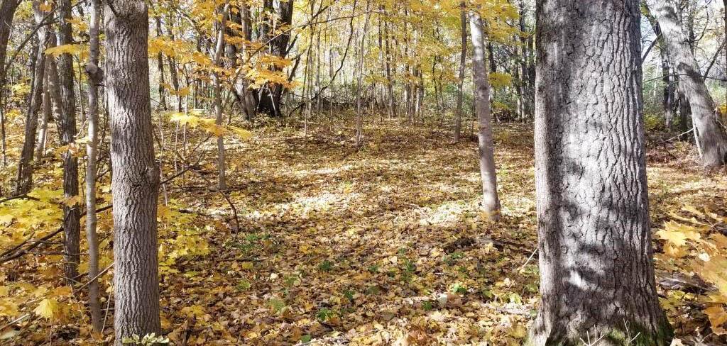 TBD Lot 19 Ni Gig Trail