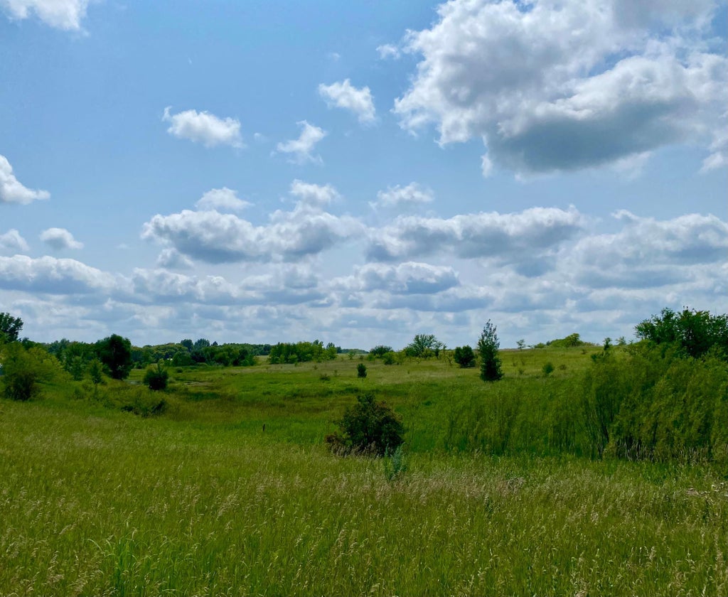 Photo of XX32 Country Estates Drive, Ida Twp, MN 56308 (MLS # 7134550)