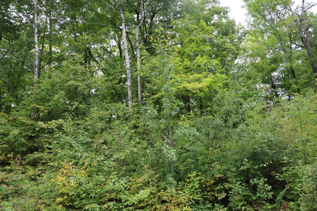 Photo of 468xx Sugarbrush Circle, Garrison, MN 56450 (MLS # 7146603)
