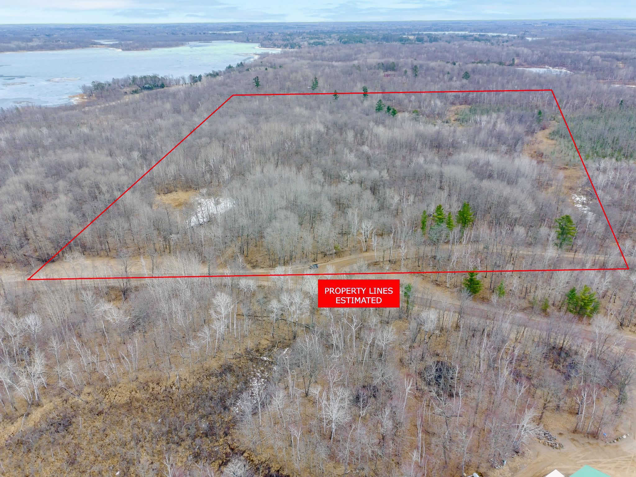 XXX Diamond Lake Street