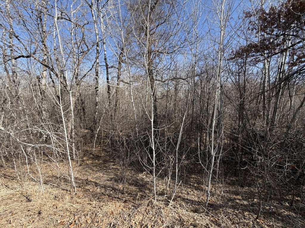 Photo of 39160 Rocky Court, Sauk Centre, MN 56378 (MLS # 7047606)