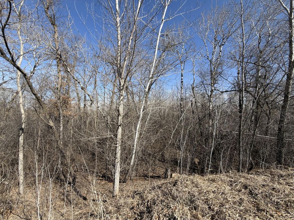 Photo of 39160 Rocky Court, Sauk Centre, MN 56378 (MLS # 7047606)