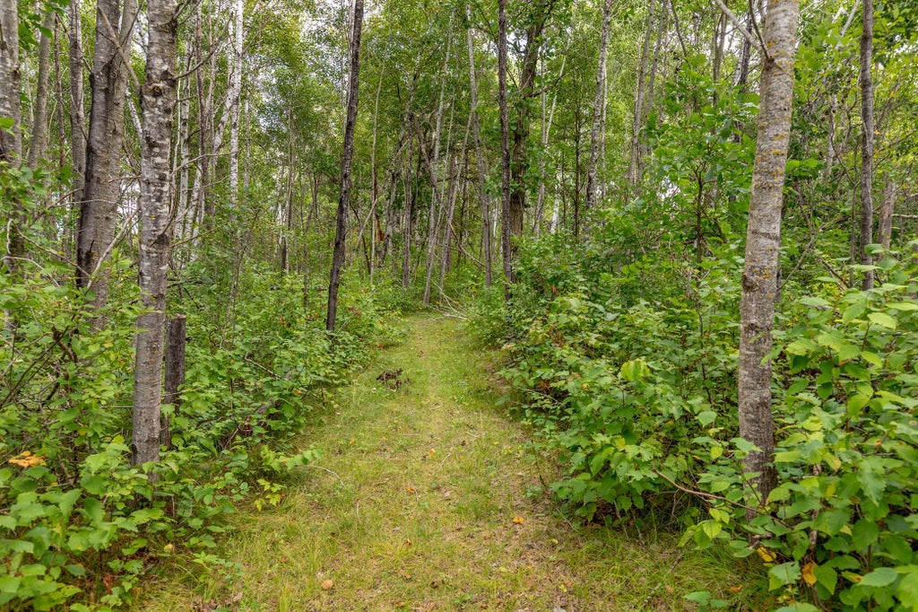 Photo of 22233 Wilderness Drive, Verndale, MN 56481 (MLS # 7143809)