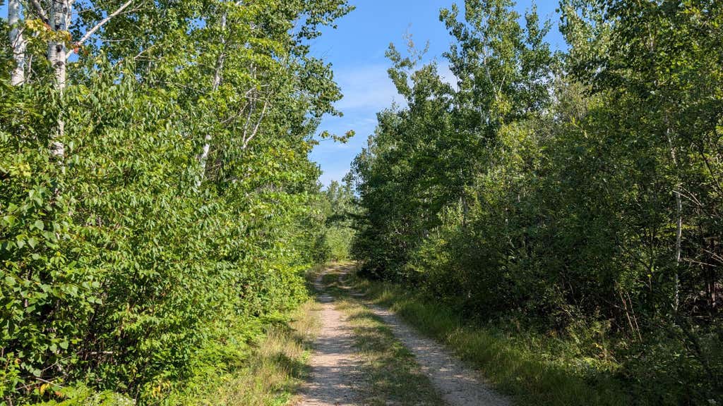 Photo of TBD Kennedy Road, Cook, MN 55723 (MLS # 7131157)