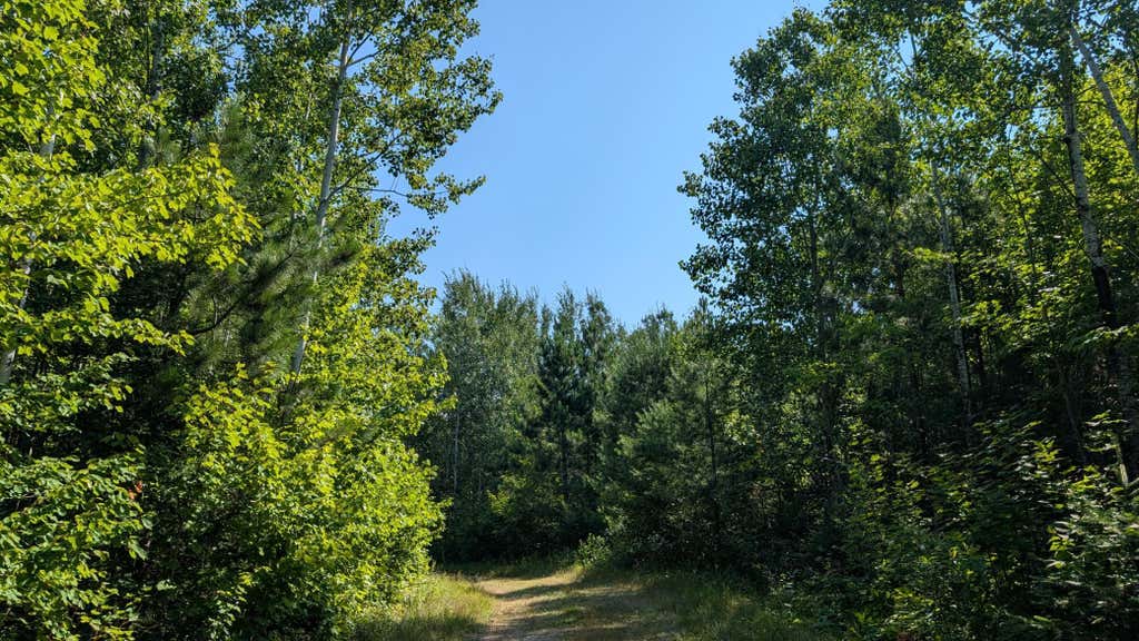 Photo of TBD Kennedy Road, Cook, MN 55723 (MLS # 7131157)