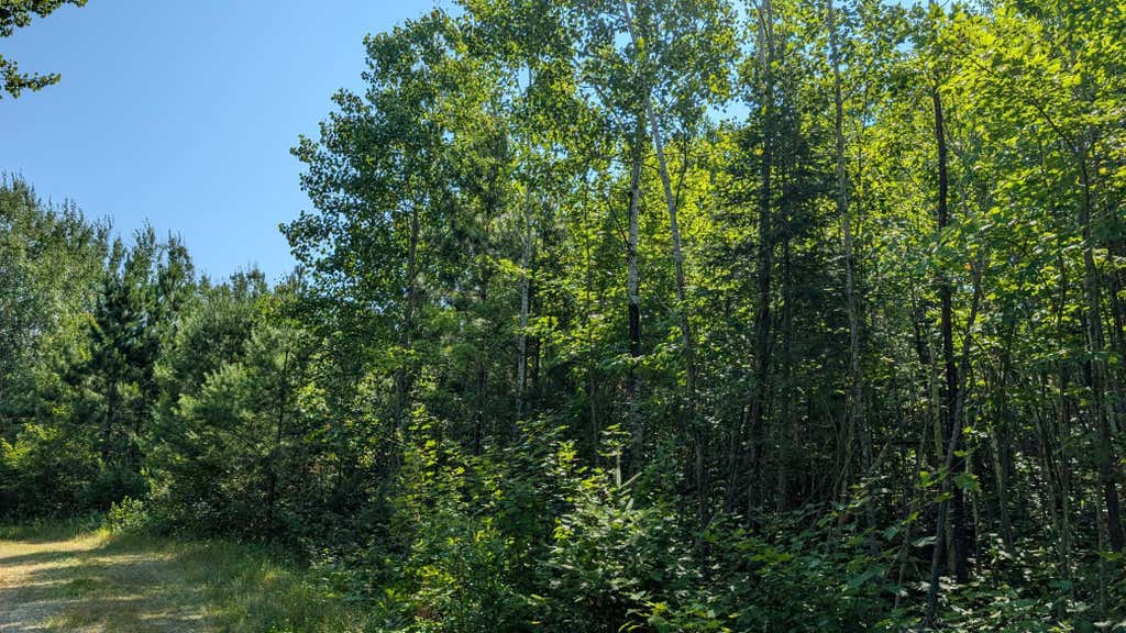 Photo of TBD Kennedy Road, Cook, MN 55723 (MLS # 7131157)