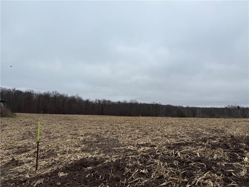 Photo of Lot 1 County Hwy D, Sarona, WI 54870 (MLS # 6825944)
