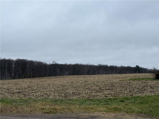 LOT 1 COUNTY HWY D, SARONA, WI 54870 - Image fd2422fbb3da2e51a6fdb04712e7a3c3/334455523