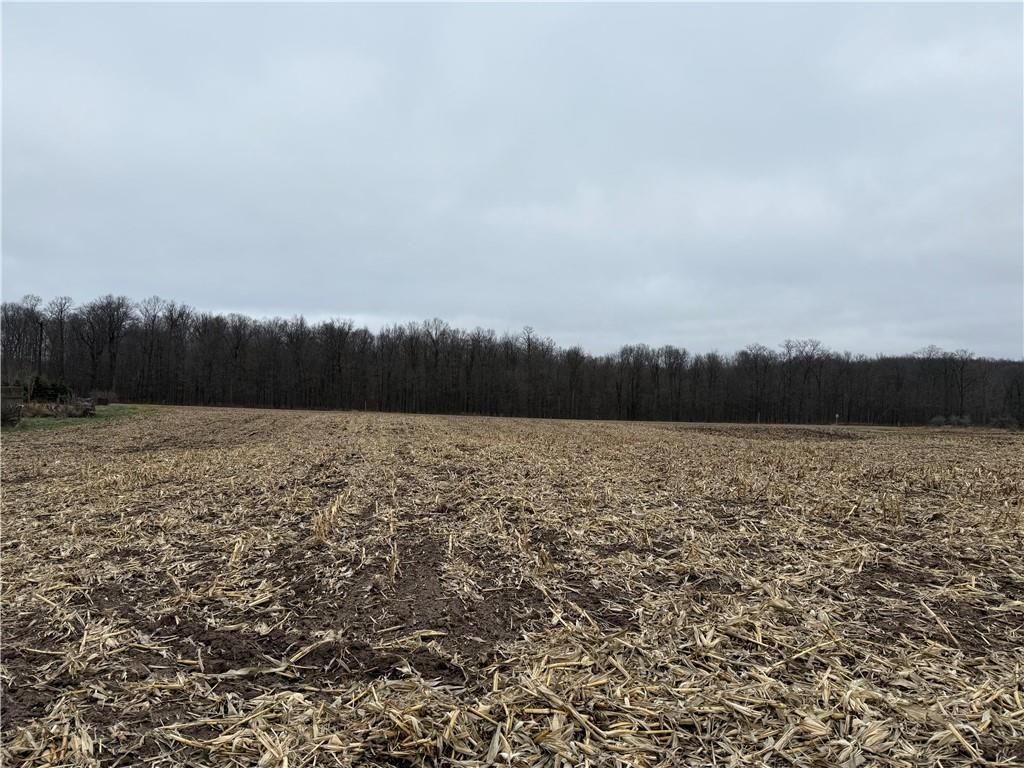 Photo of Lot 1 County Hwy D, Sarona, WI 54870 (MLS # 6825944)