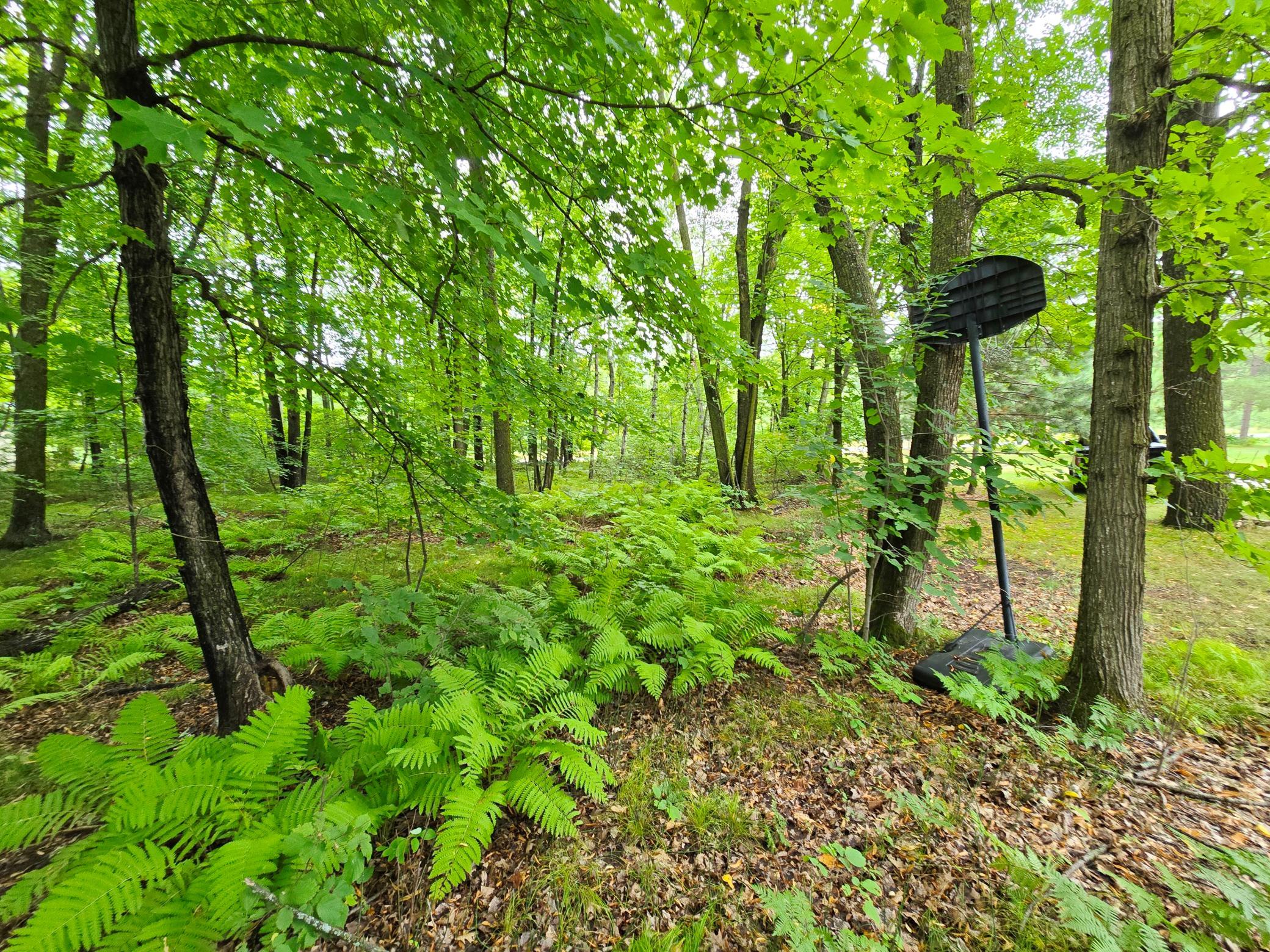 16359 County Road 10