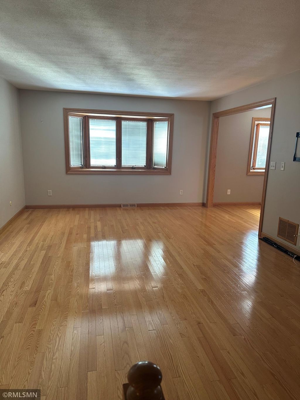 Photo of 1141 Ash Street, Lino Lakes, MN 55038 (MLS # 7031970)