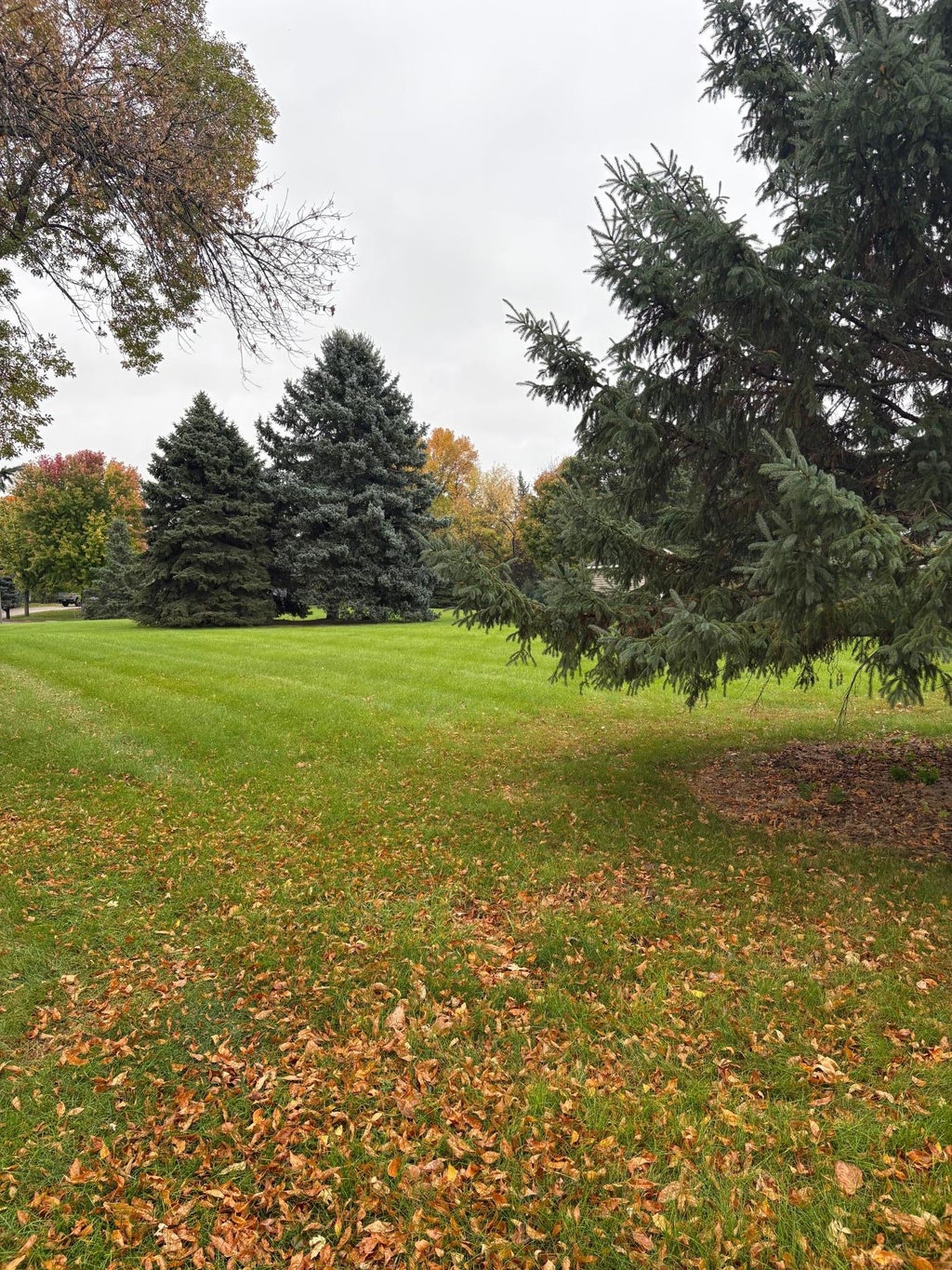Photo of 19th N 19th Street, Montevideo, MN 56265 (MLS # 7160956)
