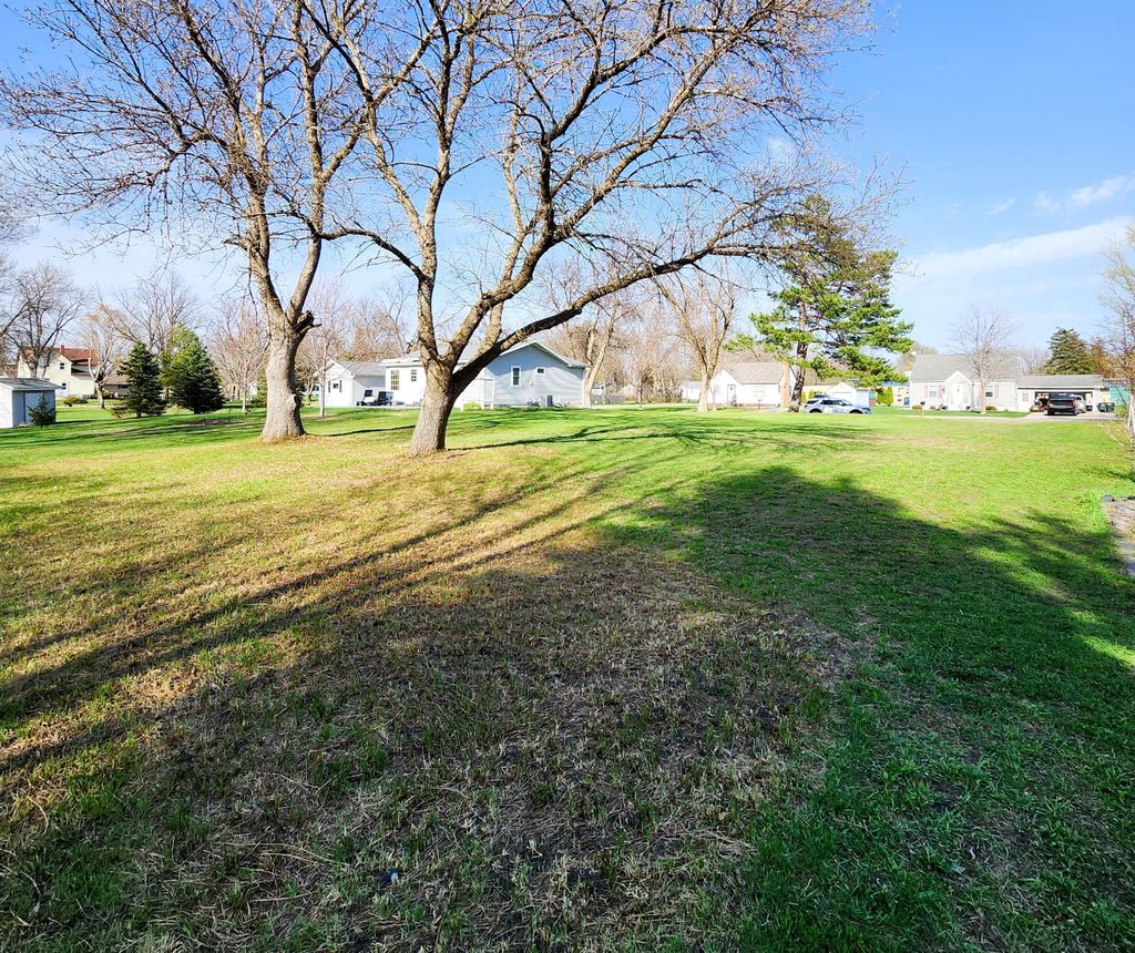 Photo of 406 N 11th Street, Olivia, MN 56277 (MLS # 7058081)