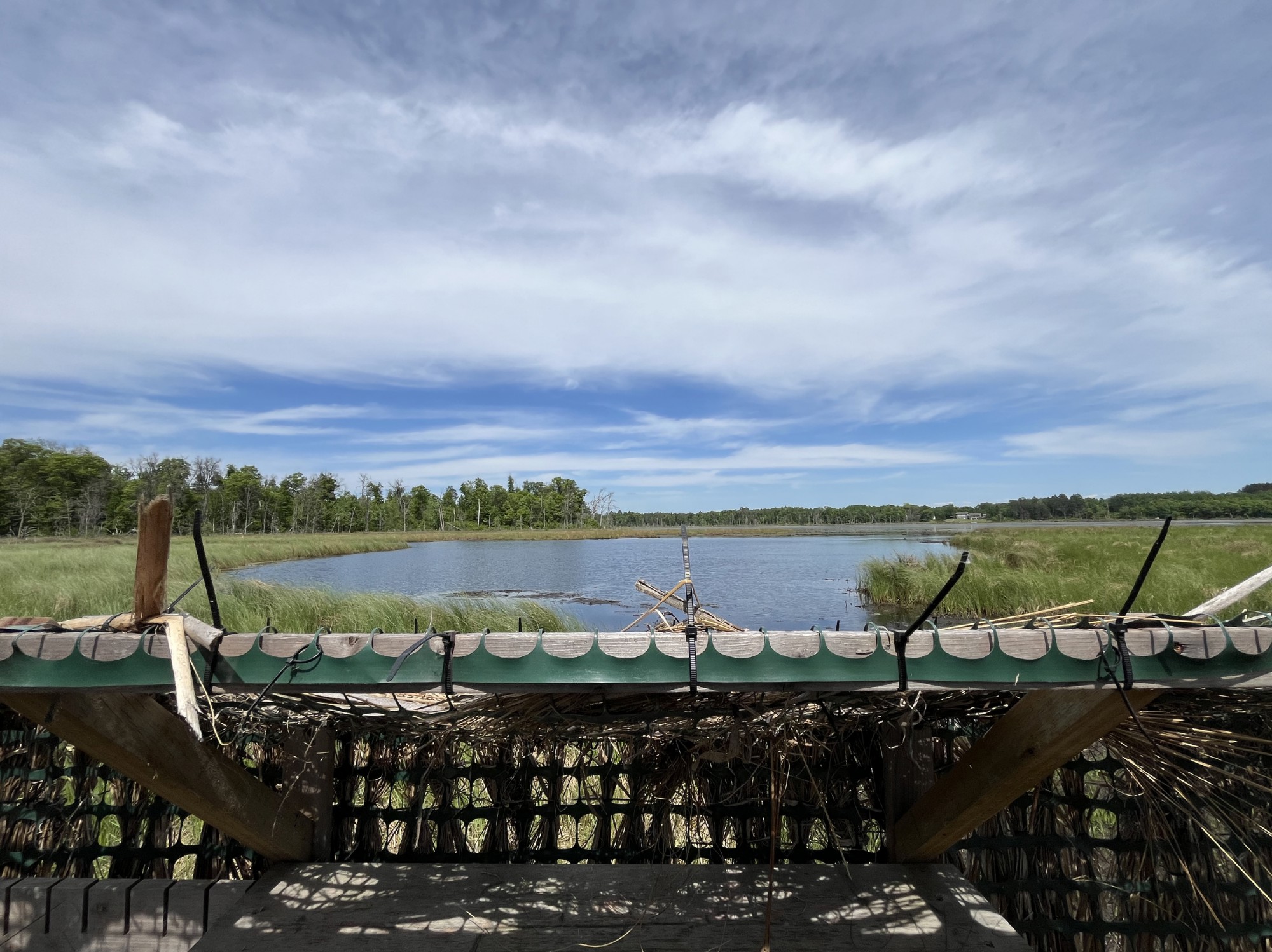 13384 Sorenson Lake Road