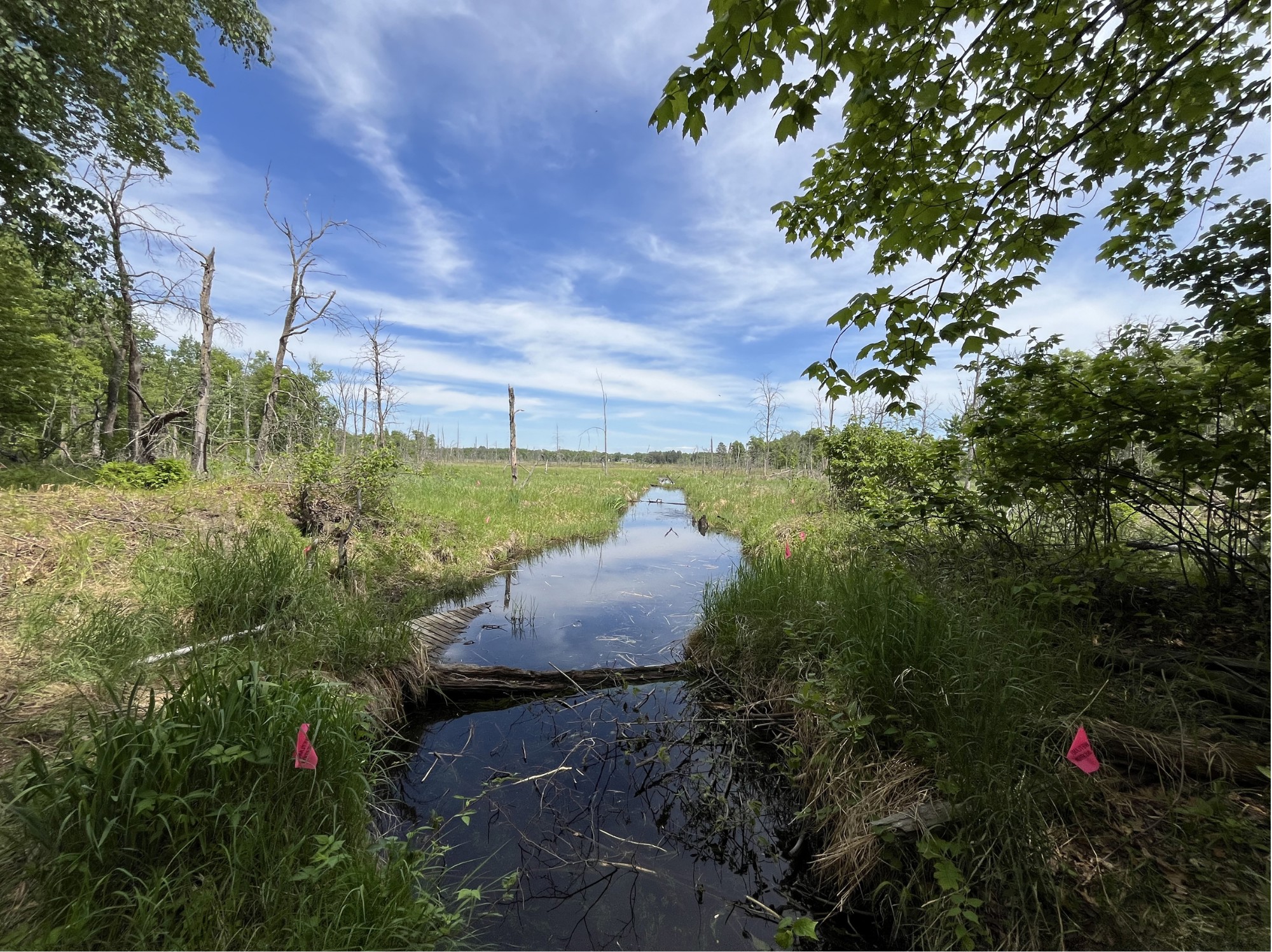 13384 Sorenson Lake Road
