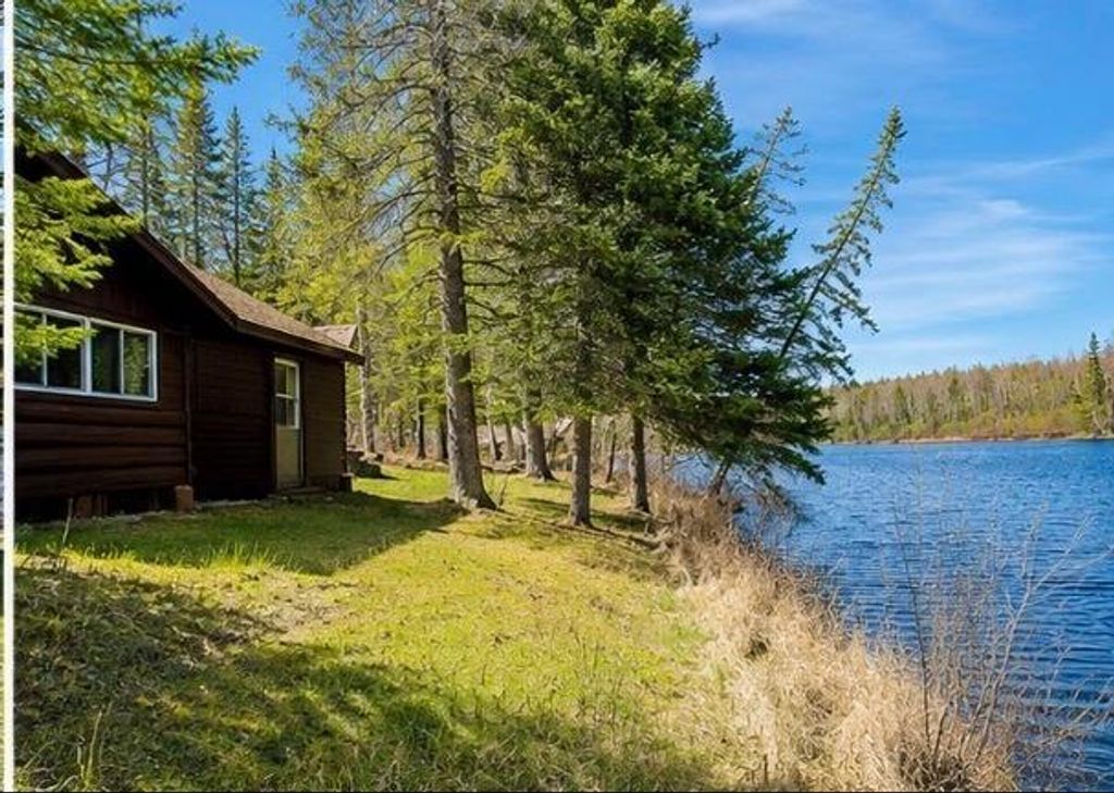 Photo of 49692 Horseshoe Lake Road, Marcell, MN 56657 (MLS # 7079252)