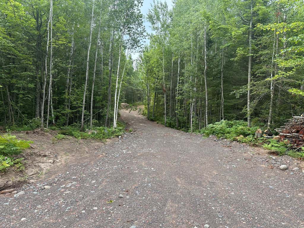 Photo of 7544 Sunset Lake Drive, Saginaw, MN 55779 (MLS # 7118038)