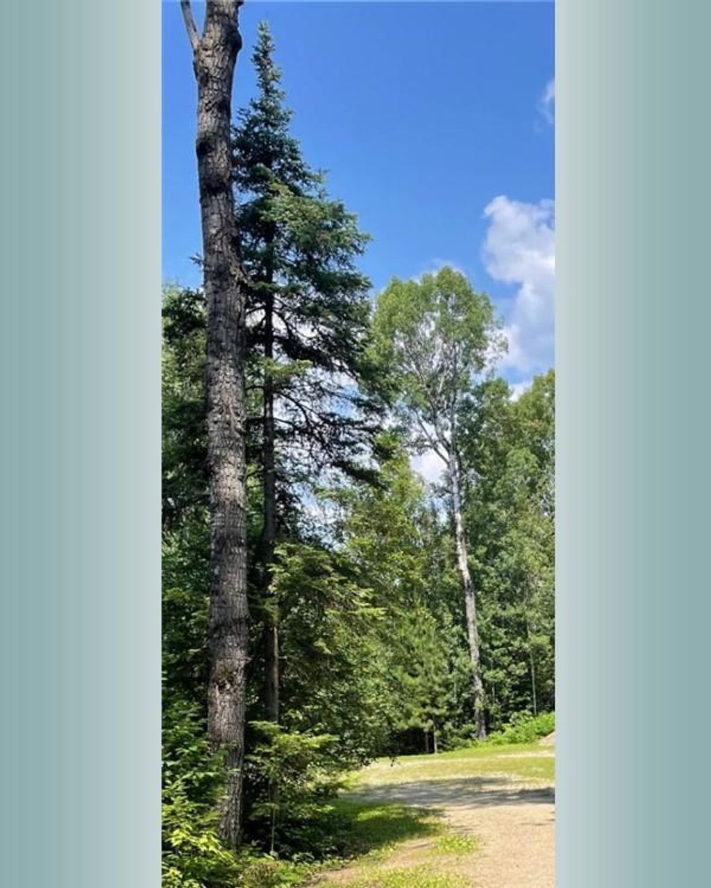 Photo of 23XX Low Creek Road, Ely, MN 55731 (MLS # 7026868)