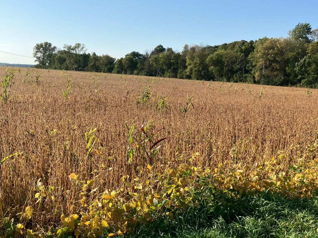 Photo of TBD Keystone Avenue, North Branch, MN 55056 (MLS # 6790190)