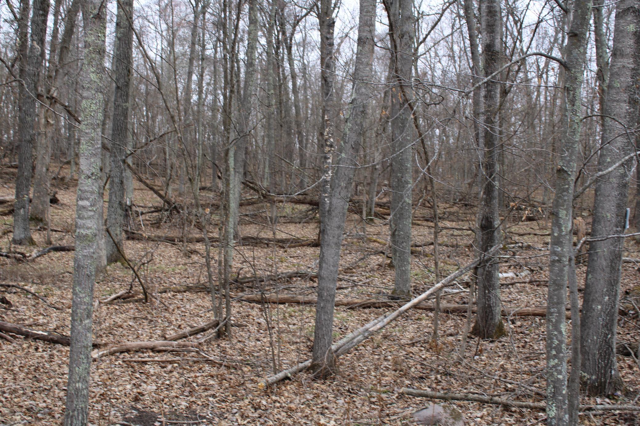 TBD St. Moritz Boulevard