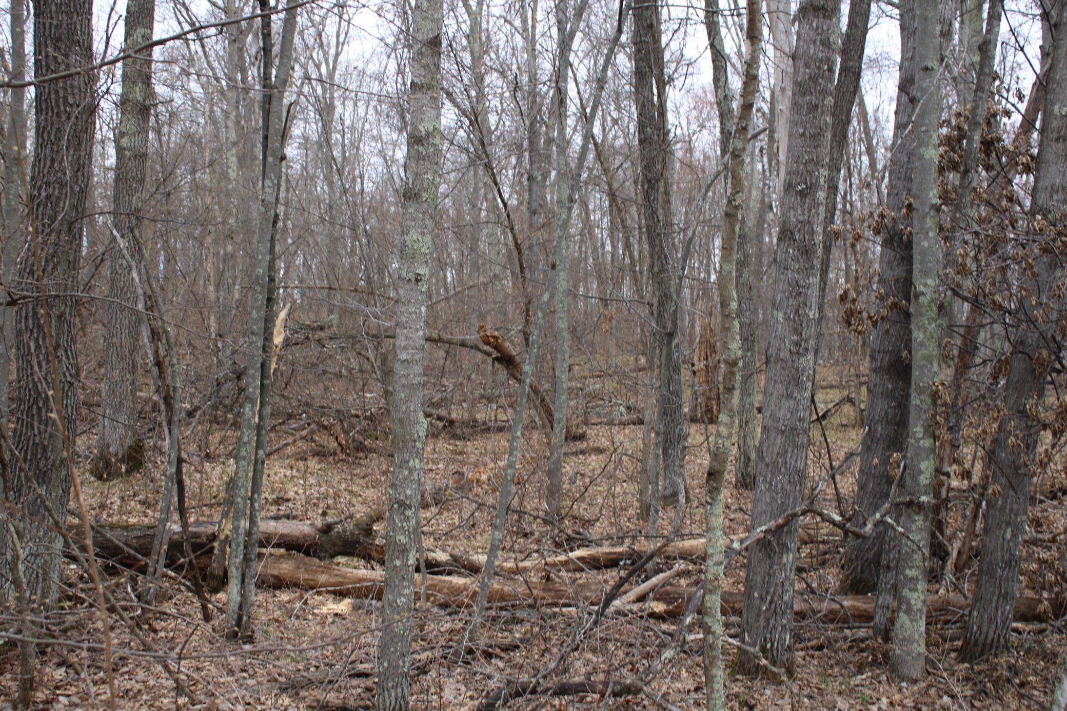 TBD St. Moritz Boulevard