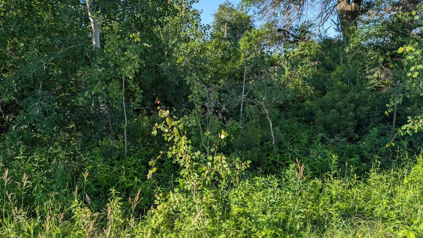 TBD 60th Street SW
